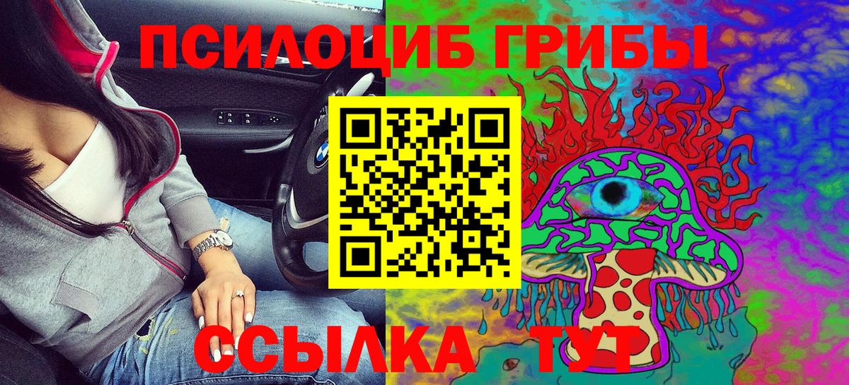 Псилоцибиновые грибы Cubensis  Вход с VPN  Прохладный 